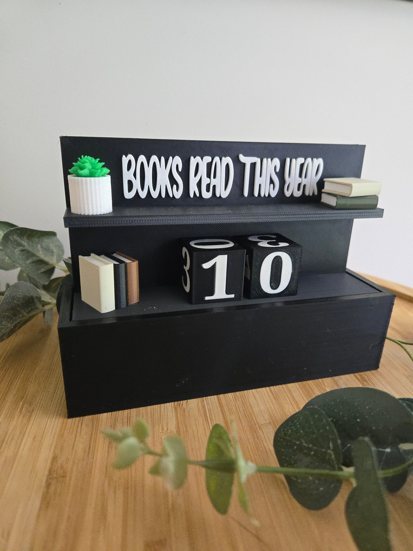 Books Read This Year Bookshelf Display