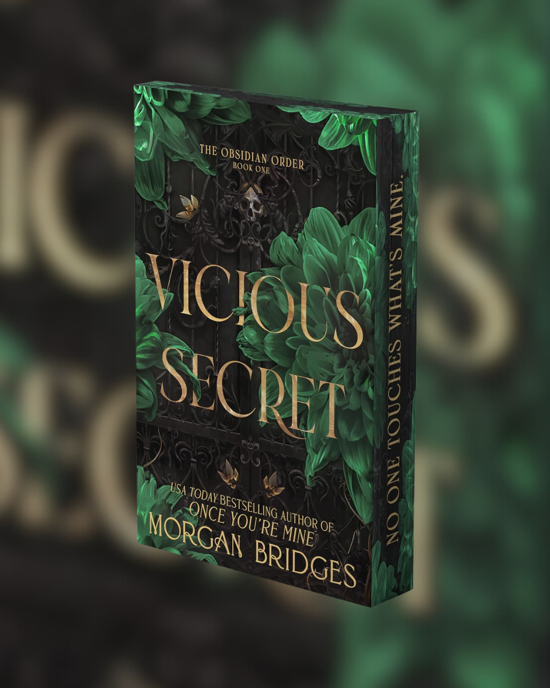 Vicious Secret by Morgan Bridges (The Obsidian Order #1)