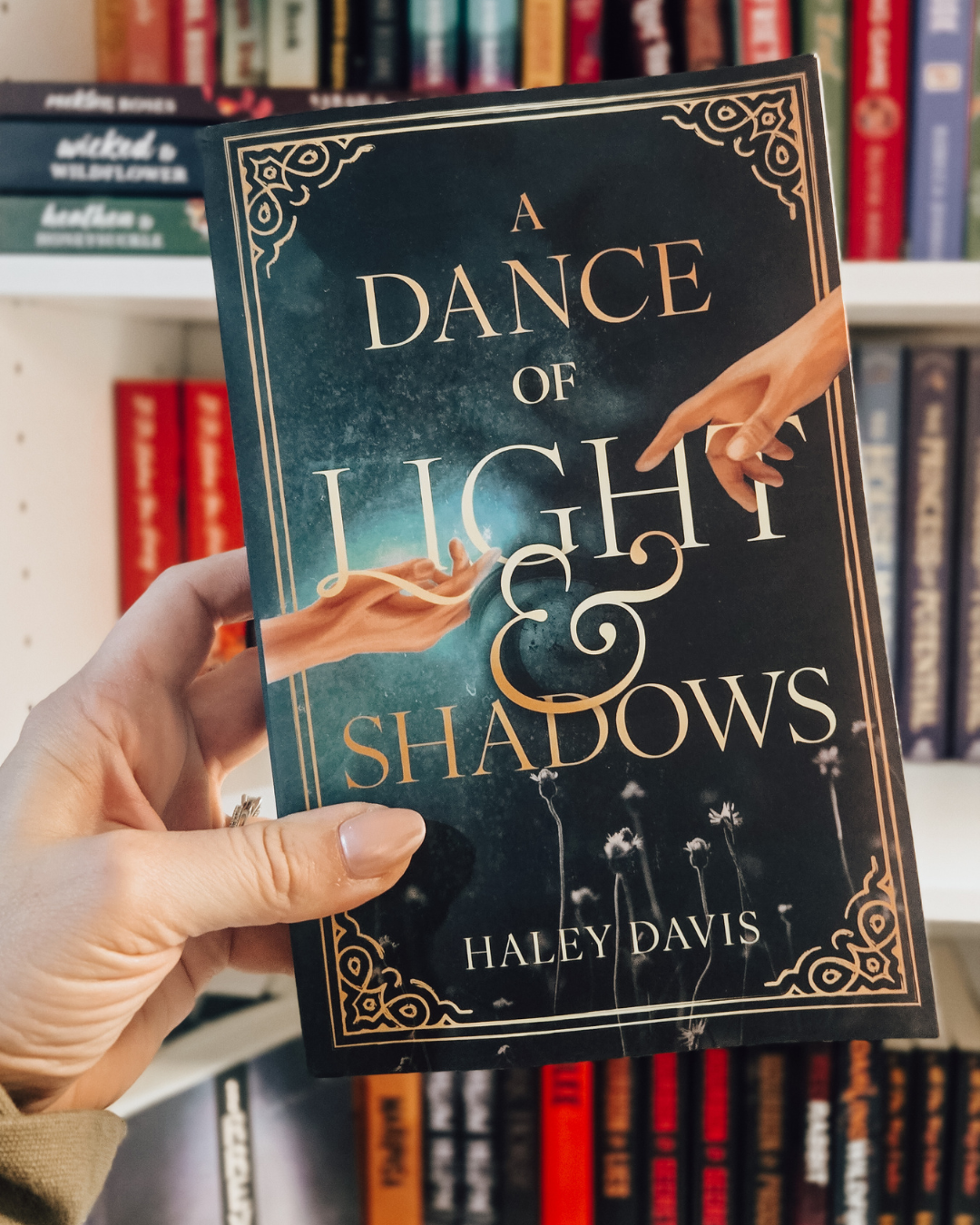 A Dance of Light and Shadows by Haley Davis SIGNED w/ SWAG