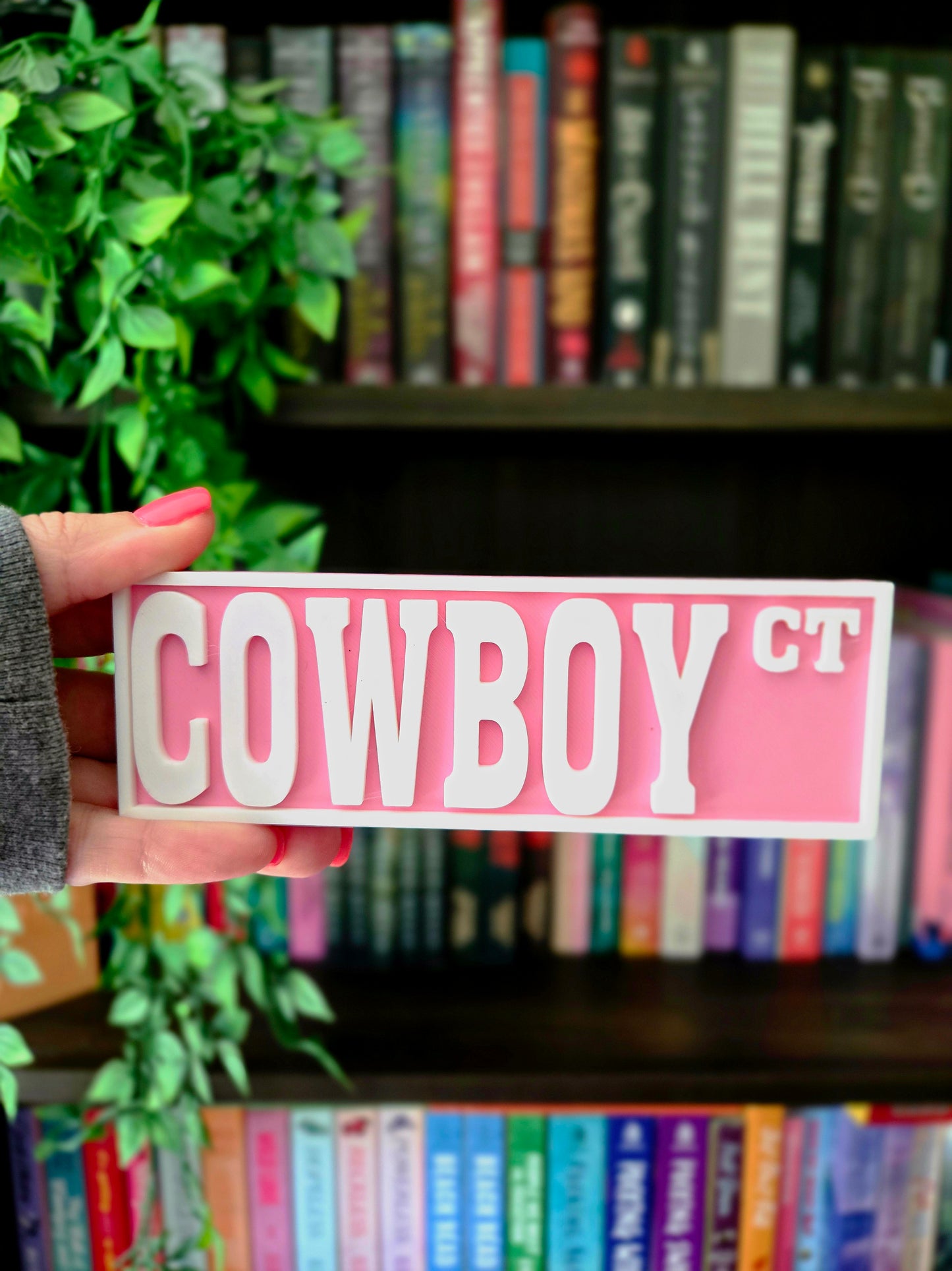 Cowboy 6x2 Street Sign
