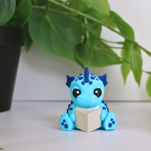 Light Blue & Dark Blue Reading Dragon