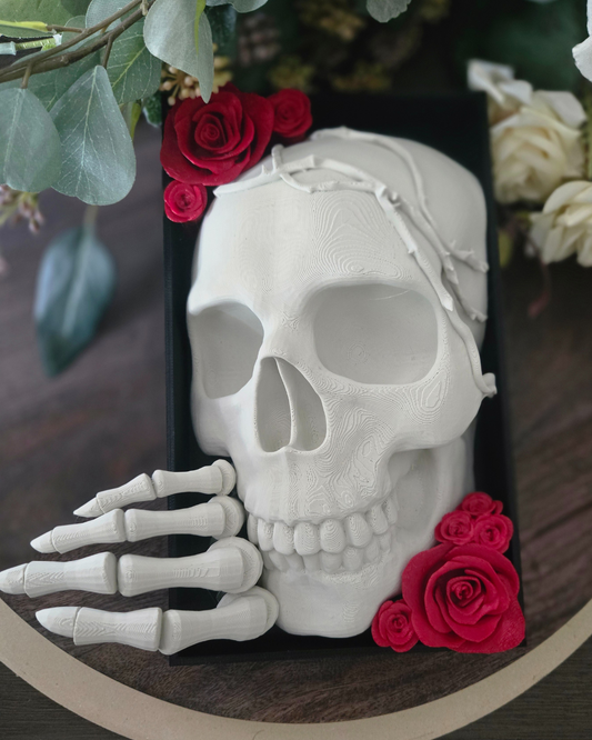 Skeleton Booknook - Herbie
