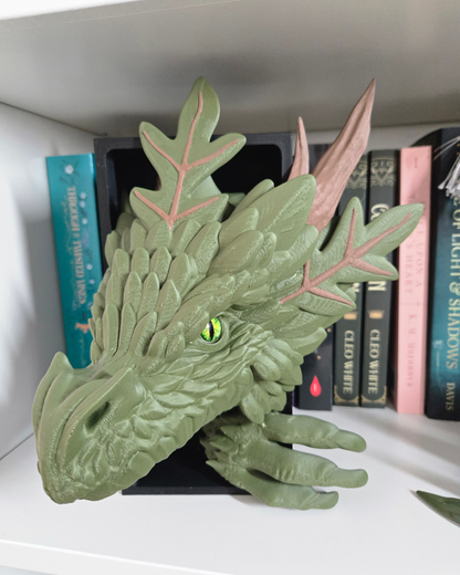 Forest Dragon Book Nook
