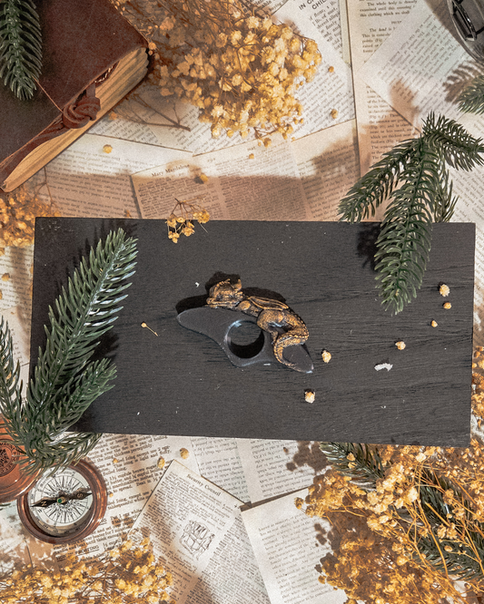 Sleeping Dragon Page Holder