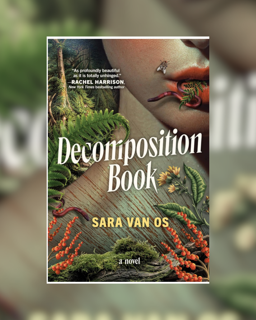 Decomposition Book by Sara Van Os