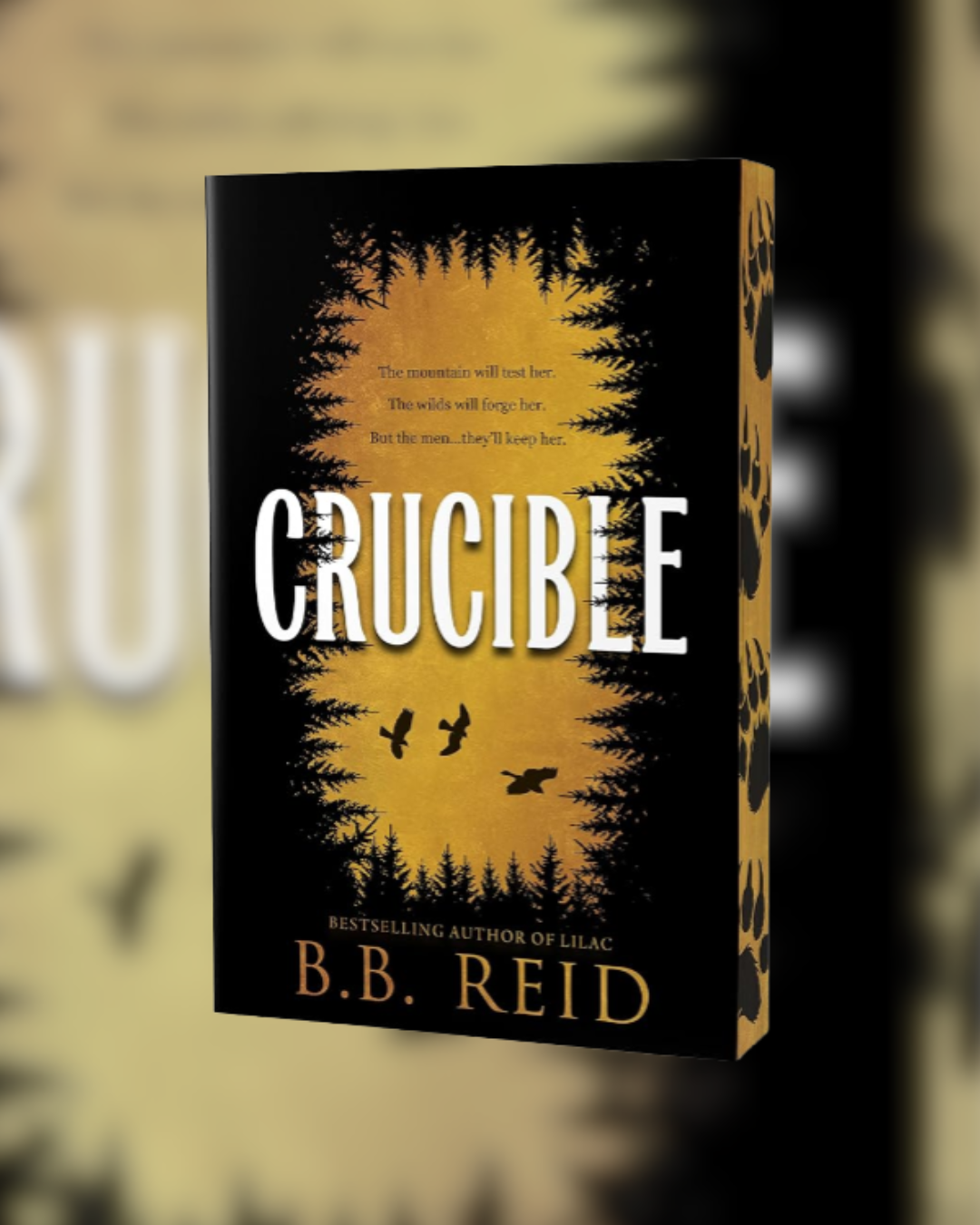 Crucible by B.B. Reid (Deluxe Edition) (Men of the Wilds, 1)