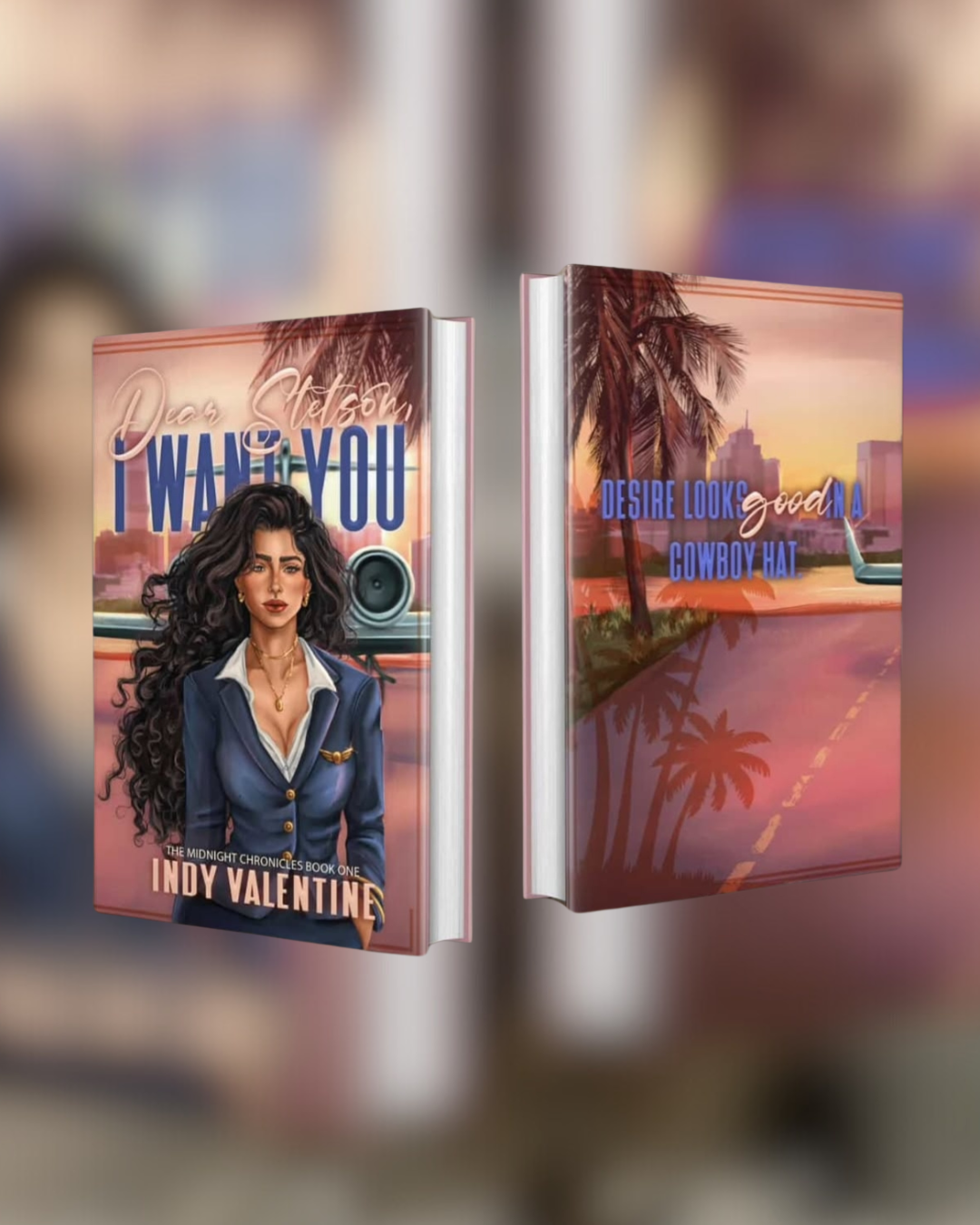 Dear Stetson, I Want You by Indy Valentine SPECIAL EDITION PRE-ORDER